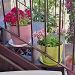 Sogni D'oro Frühstückspension