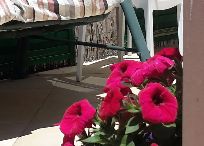 Sogni D'oro Агрідженто