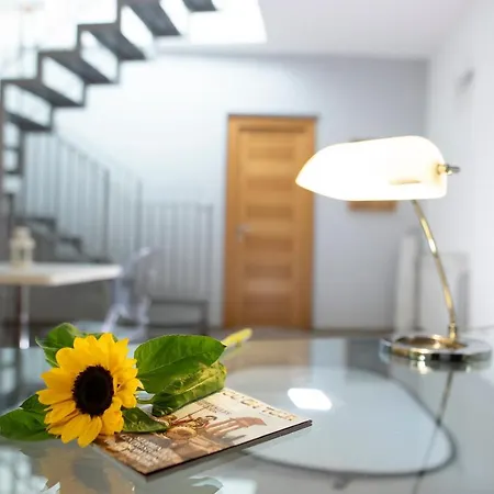 住宿加早餐酒店 索奈多若酒店