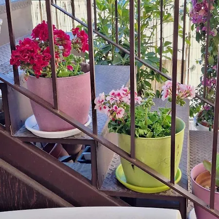 Sogni D'oro Bed and breakfast
