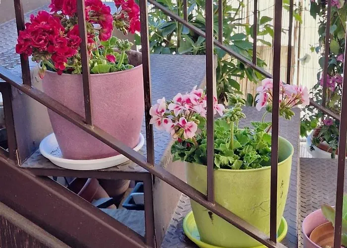 Sogni D'oro Bed & Breakfast